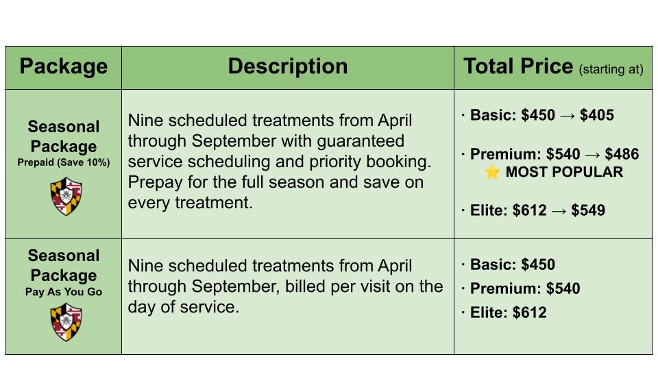 pricing plans and options (new most popular10)